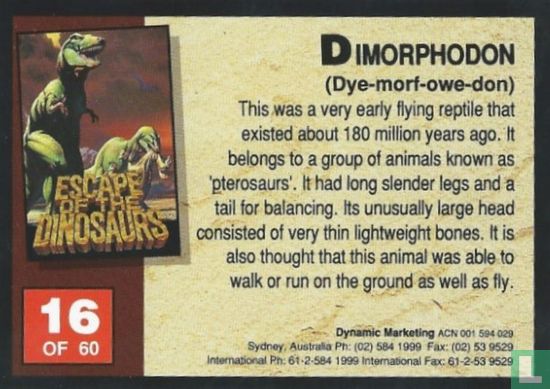Dimorphodon - Afbeelding 2