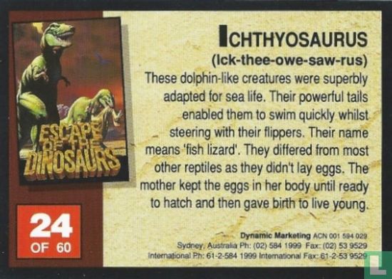 Ichthyosaurus - Image 2