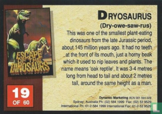 Dryosaurus - Image 2