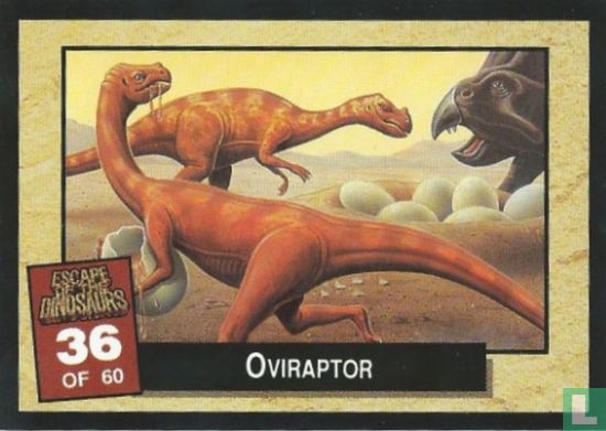 Oviraptor - Image 1