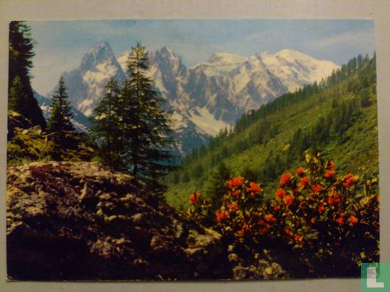 Au pays du Mont Blanc et sa cour - Afbeelding 1
