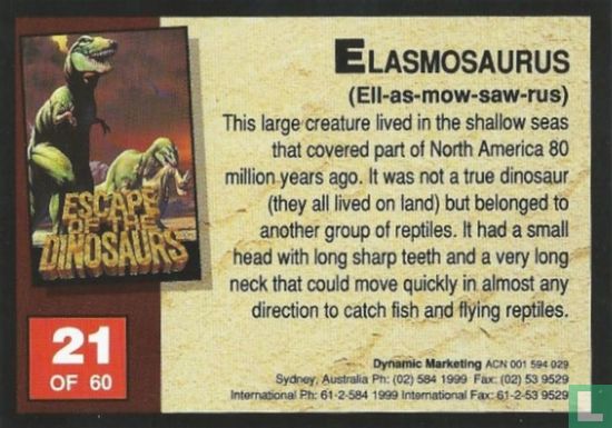 Elasmosaurus - Image 2