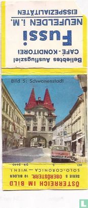 Schwanenstadt