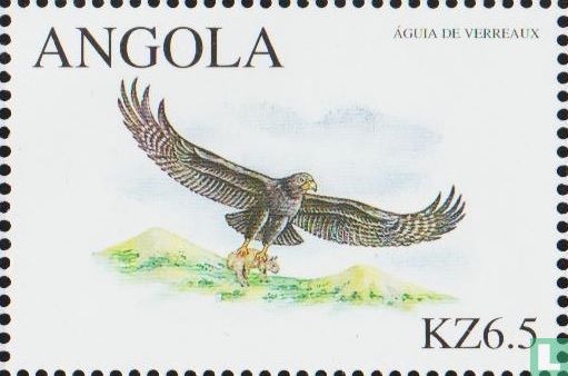 2000-Greifvögel