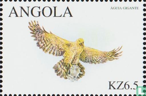 2000-Greifvögel