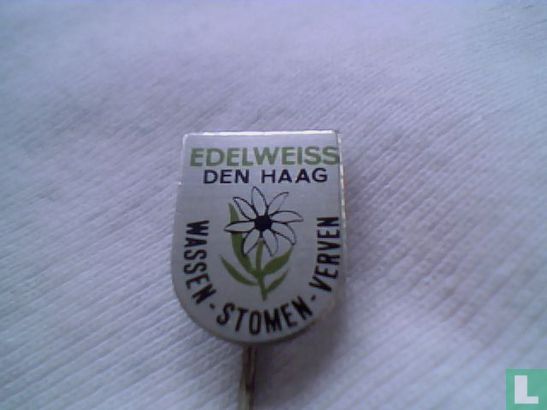 Edelweiss Den Haag wassen-stomen-verven
