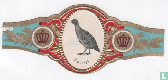 Partridge - Image 1