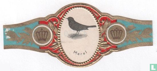 Merel - Afbeelding 1