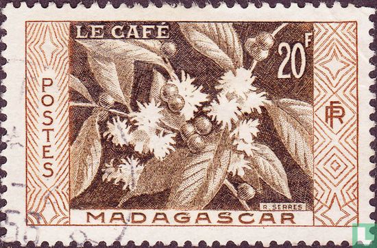 Planter du café
