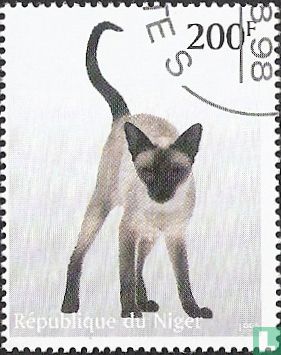 Cats