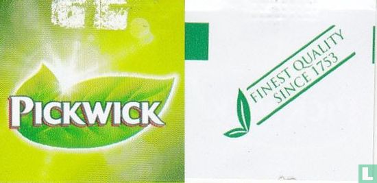 Green Tea, Cucumber Taste & Mint - Image 3