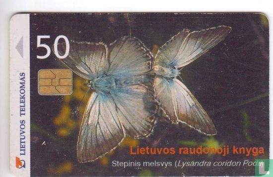 Butterfly Lysandra Coridon - Bild 1