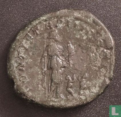 Romeinse Rijk, AE As, 209-212 AD, Geta, Rome, 211 AD - Afbeelding 2
