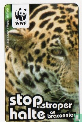 WWF Memorykaart - Image 2