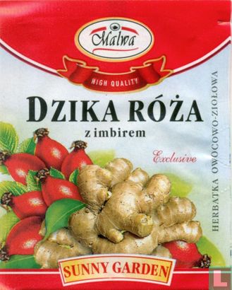 Dzika Róza zimbirem - Image 1