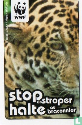 WWF Memorykaart - Bild 2