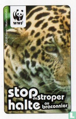 WWF Memorykaart - Bild 1