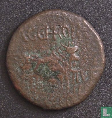 Romeinse Rijk, AE As, 14-37 AD, Tiberius, Lepida Celsa, Hispania - Afbeelding 2