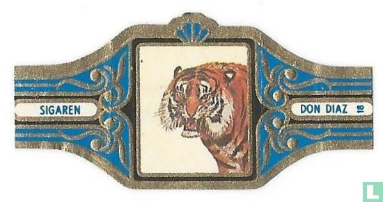 Sumatra-tiger - Bild 1