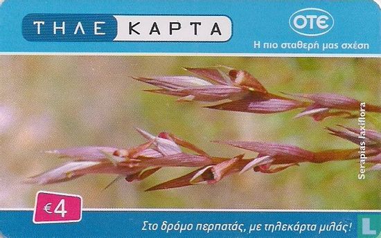 Serapias Laxiflora - Afbeelding 2