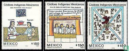 Indigenous Mexican Codices