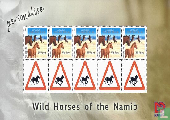 Les chevaux sauvages de Namib