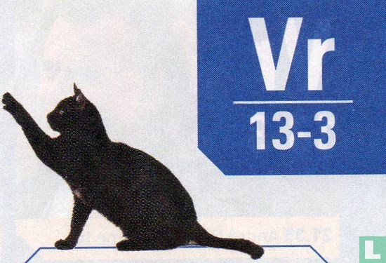 Vr 13-3 - Zwarte kat