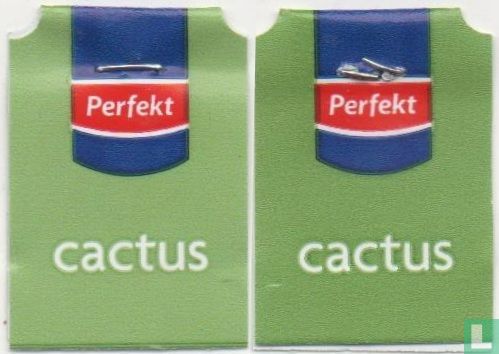 cactus - Image 3