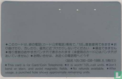 NII Rocket - Tanegashima Opening Up Outer Space - Afbeelding 2