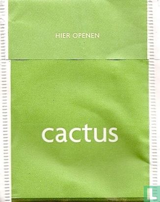 cactus - Image 2