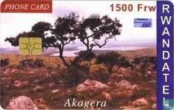 Akagera, Tree at River - Image 1