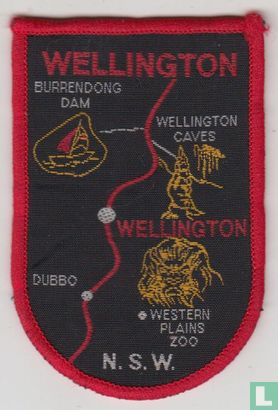 Wellington - Afbeelding 1