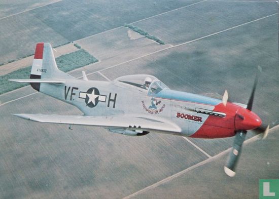 (15) North American P-51D Mustang - N6310T / 474832 - Afbeelding 1