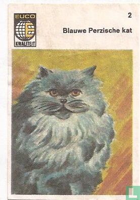 Blauwe Perzische kat
