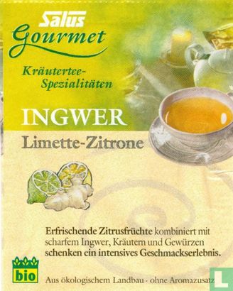 Ingwer Limette-Zitrone - Afbeelding 1