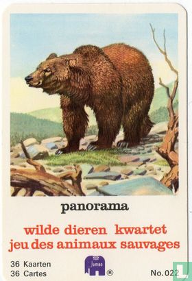 Panorama wilde dieren kwartet/Jeu des animaux sauvages  - Image 1