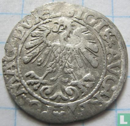 Polen-Litouwen ½ groschen 1559 - Afbeelding 2