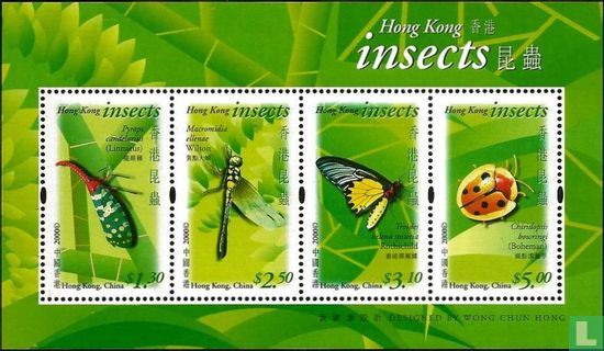 Insects 