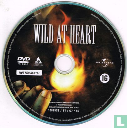 Wild at Heart - Image 3
