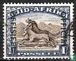 Wildebeest (Afrikaans)
