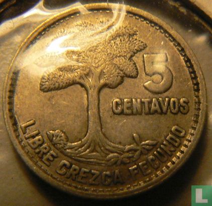 Guatemala 5 centavos 1956 - Image 2