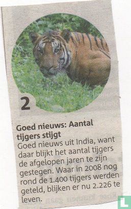 Goed nieuws: Aantal tijgers stijgt