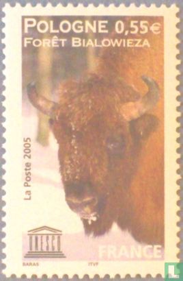 Poolse bizon