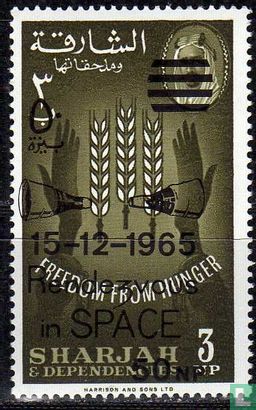 Rendezvous Gemini VI et VII