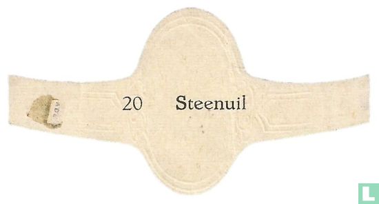 Steenuil - Image 2
