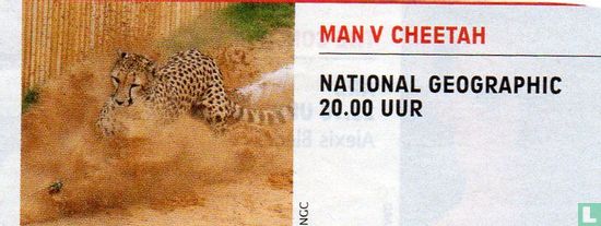 Man v Cheetah