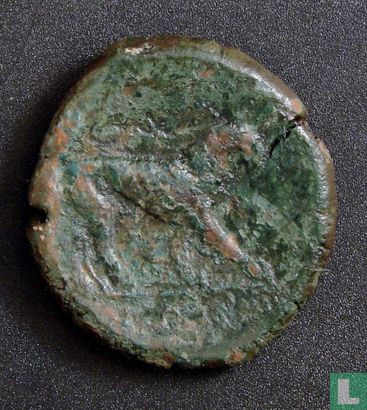 Rhegion, Bruttium, AE24, 250-200 BC, règle Inconnu - Image 2