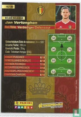 Jan Vertonghen - Afbeelding 2