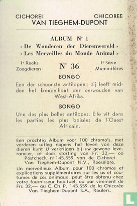 Bongo - Image 2