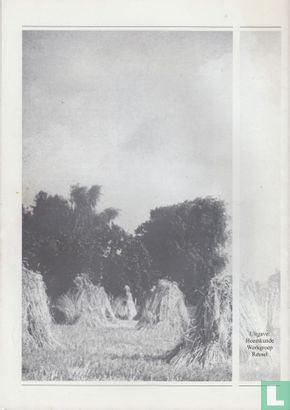 De Schééper 66 - Bild 2